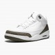 Air Jordan 3 Retro Mocha Women/Men Jordan Sneakers 136064-122