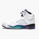 Air Jordan 5 Retro Grape Men Jordan Sneakers 136027-108