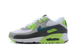 Nike Air Max 90 (M) White Grey DJ6897-100 Sneakers