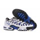 Nike Air Max Plus Drift (M) White Blue and Black Sneakers