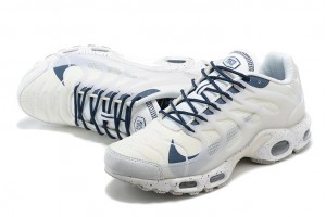 Nike Air Max Terrascape Plus (M) White Blue Sneakers